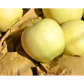 2015 Hot Sale Original Golden Apple Fresh Apple